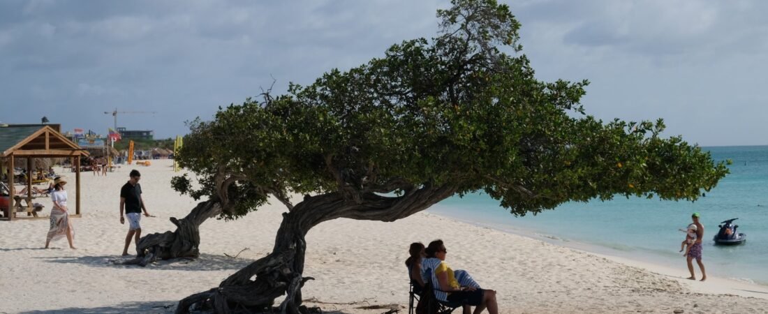 Best Luxury Hotels in Aruba (2026 Guide)