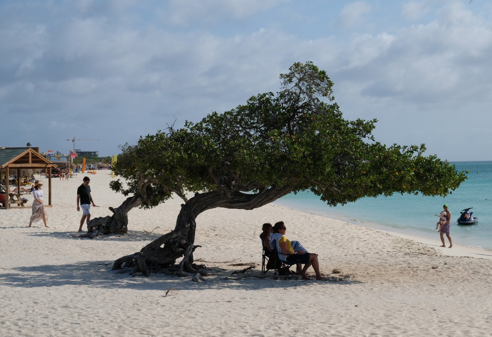 Best Luxury Hotels in Aruba (2026 Guide)