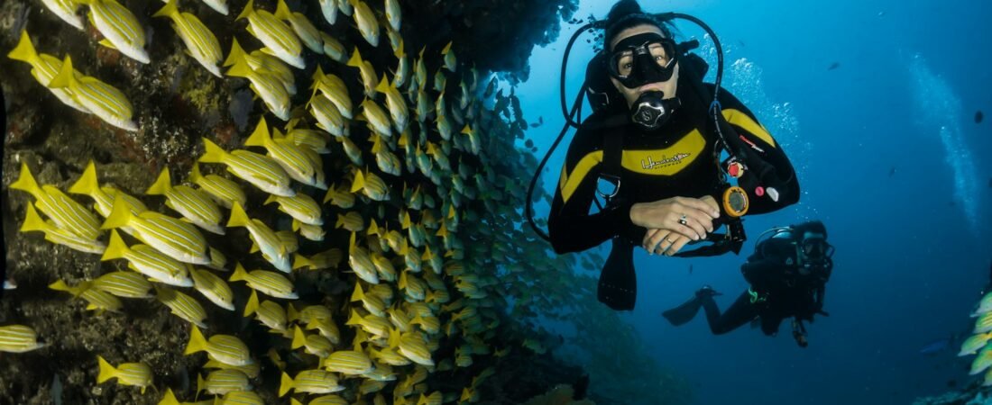 Best Luxury Dive Resorts in Raja Ampat 2026: Villas, Reefs & Mantas