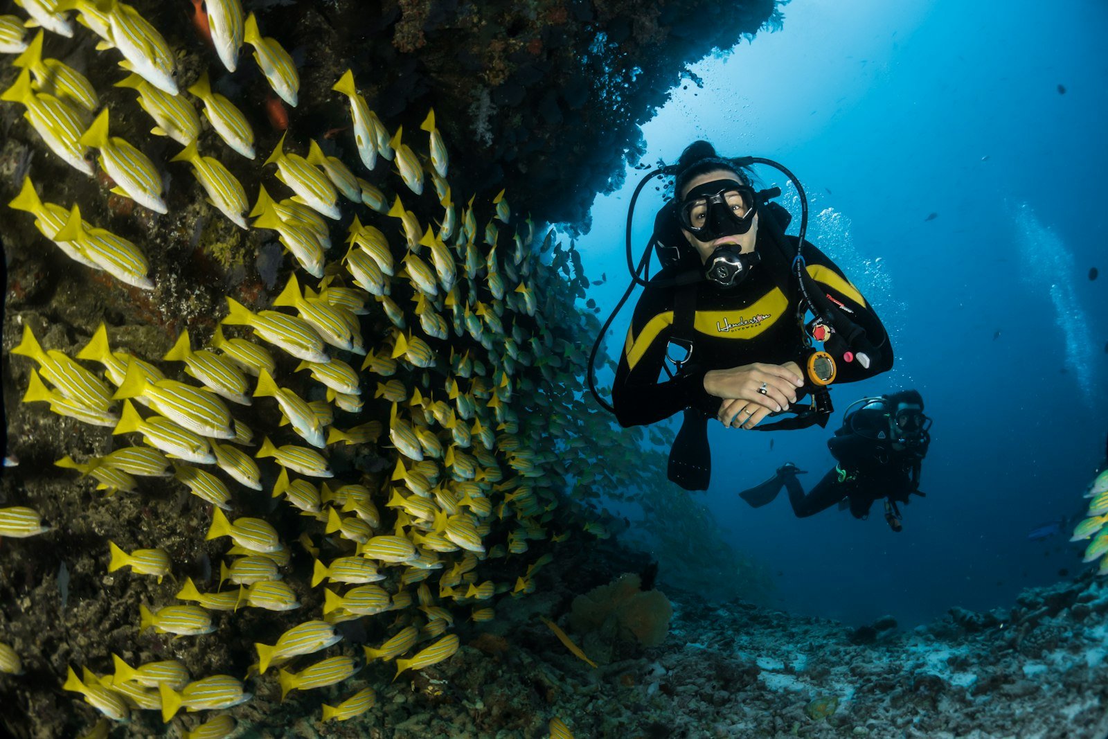 Best Luxury Dive Resorts in Raja Ampat 2026: Villas, Reefs & Mantas