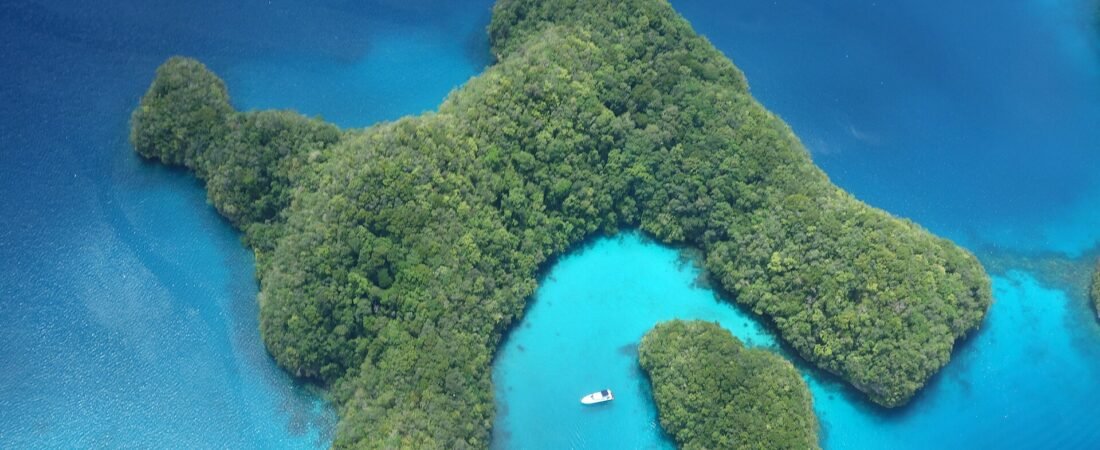 Best Luxury Resorts in Palau 2026