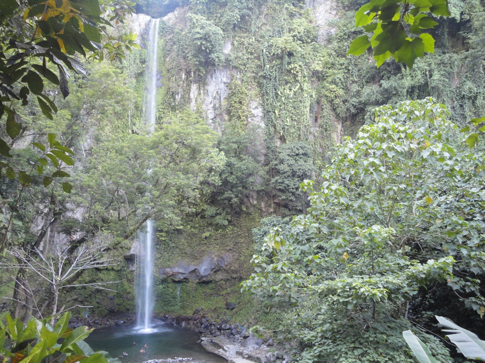 Best Things to Do in Camiguin: White Island, Waterfalls & Diving (2026)