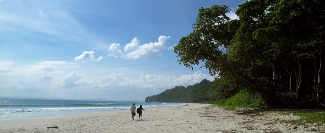 Best Time to Visit Havelock Island 2026
