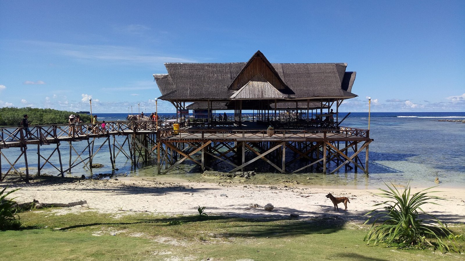 Ocean waves and coastline in Siargao, Philippines