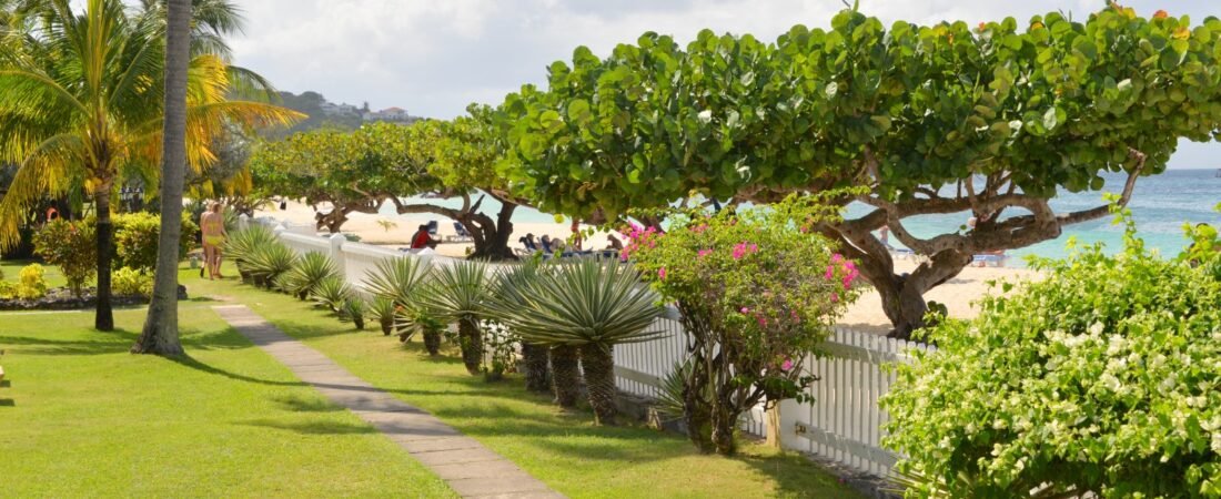 Best Luxury Hotels in Grenada (2026 Guide)