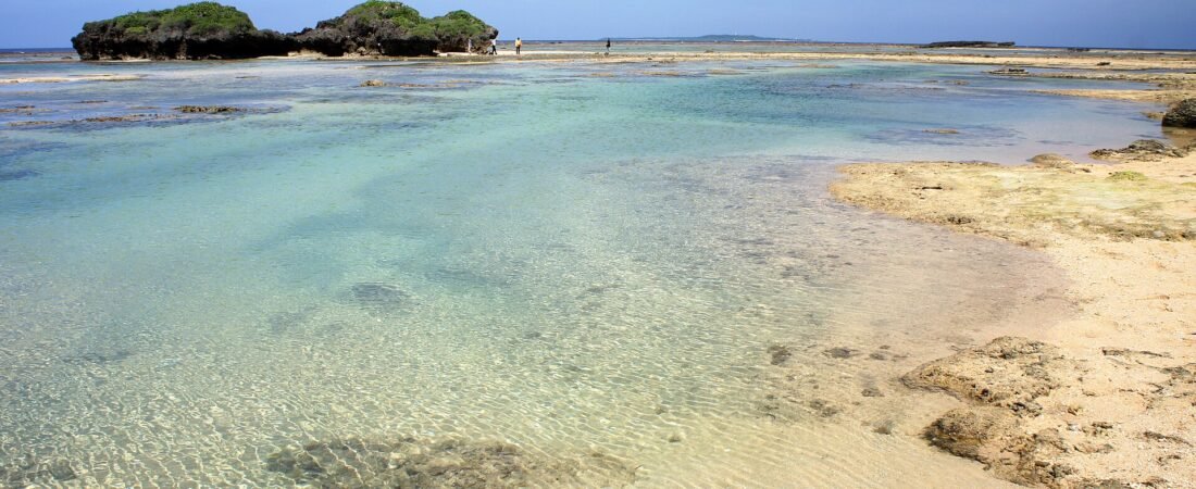 Iriomote Island Travel Guide 2026