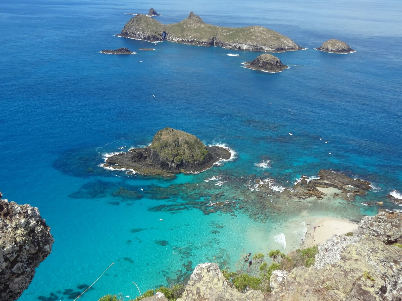 Lord Howe Island Honeymoon Guide 2026