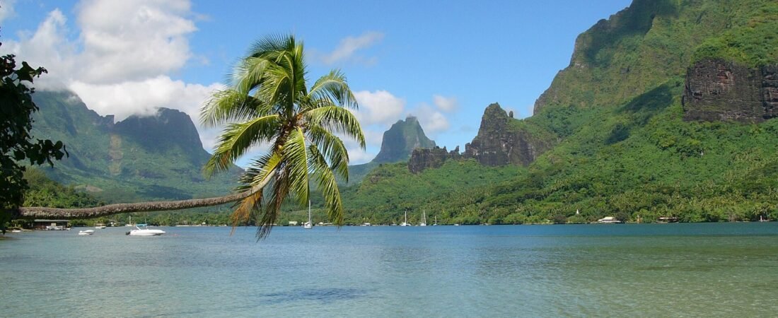 Best Luxury Resorts in Moorea, French Polynesia (2026)