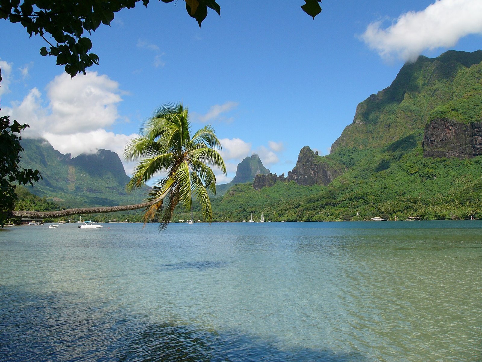 Best Luxury Resorts in Moorea, French Polynesia (2026)