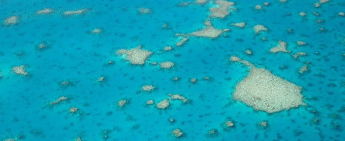 New Caledonia vs Vanuatu for 2026