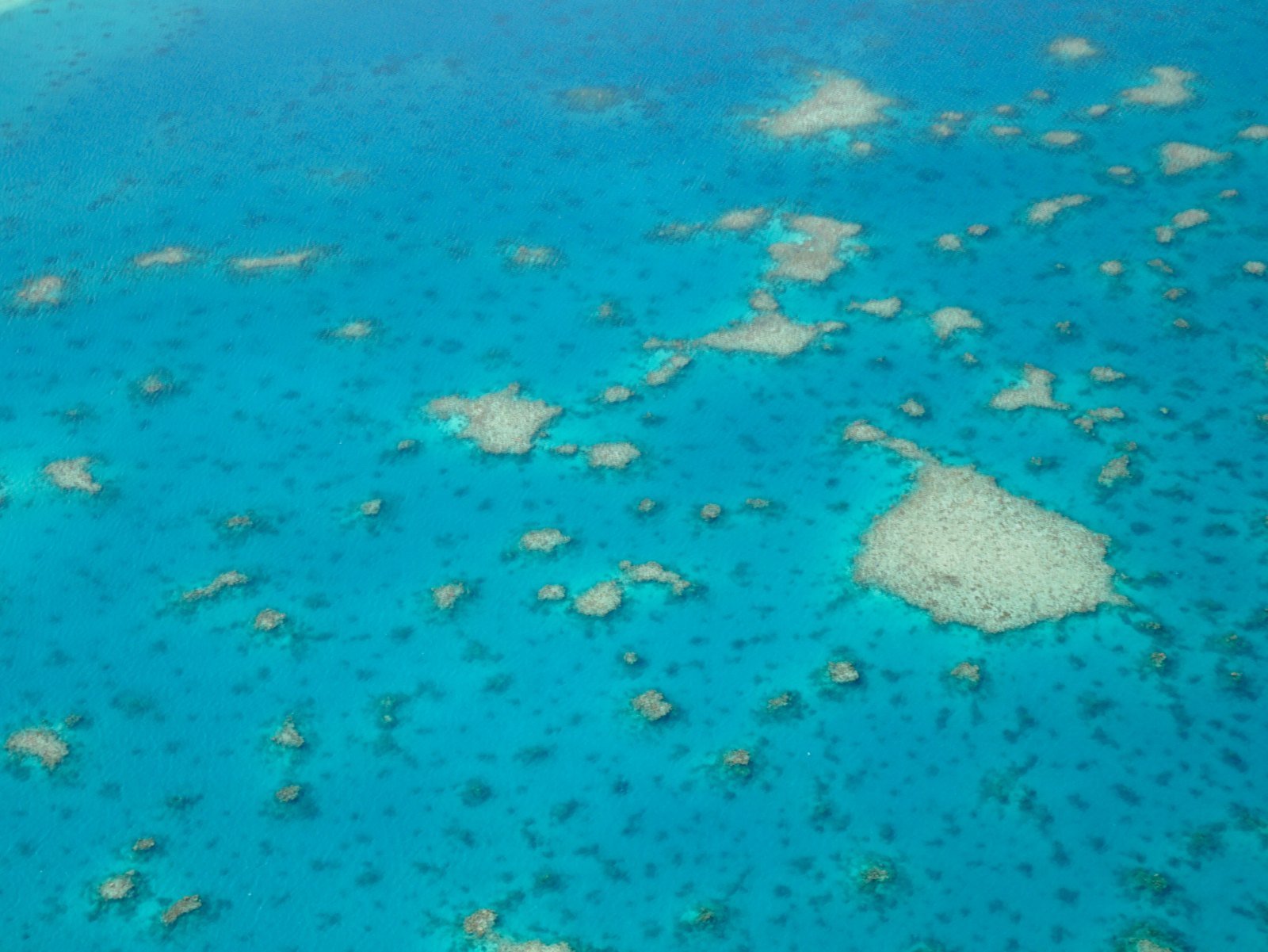 New Caledonia vs Vanuatu for 2026