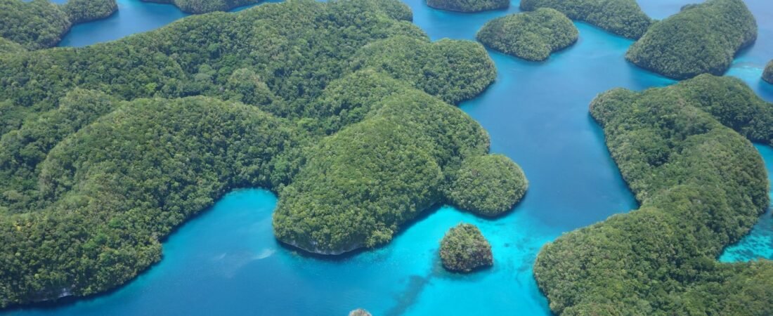 Rock Islands Southern Lagoon, Palau: A Guide