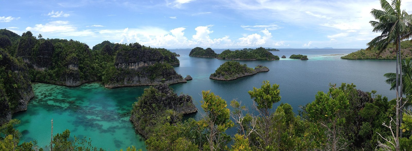 Panoramic landscape of Raja Ampat islands and calm sea under daylight, Indonesia