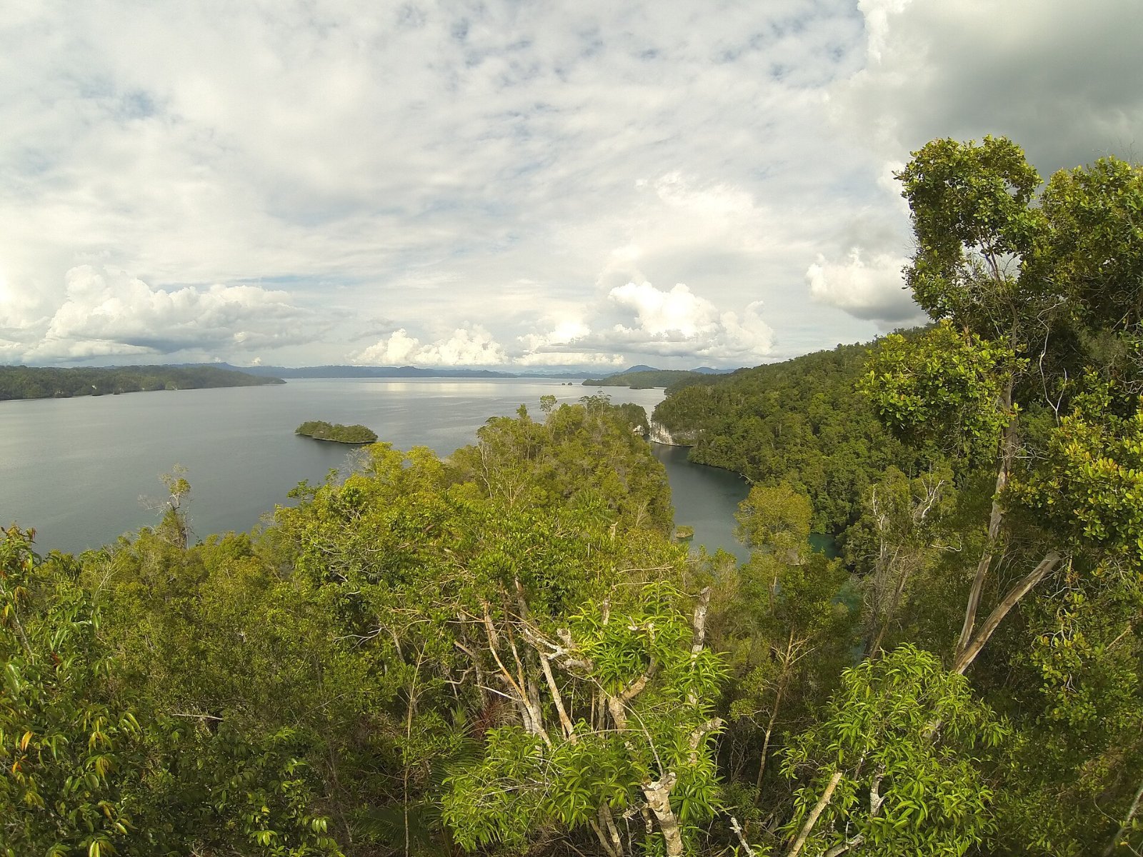 Raja Ampat Honeymoon: How to Plan It (2026)