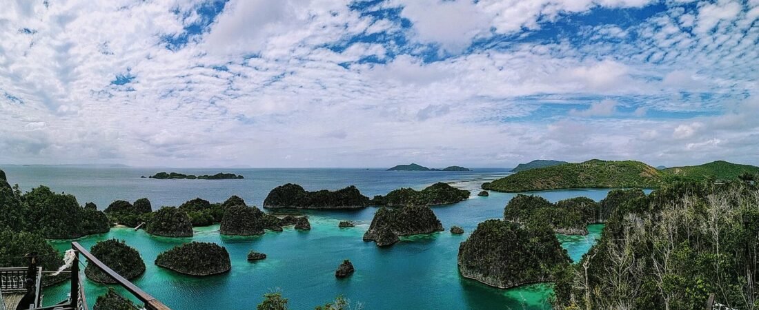 5 Best Liveaboard Diving Trips in Raja Ampat (2026)