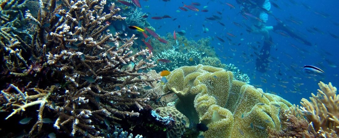 Raja Ampat Travel Guide 2026