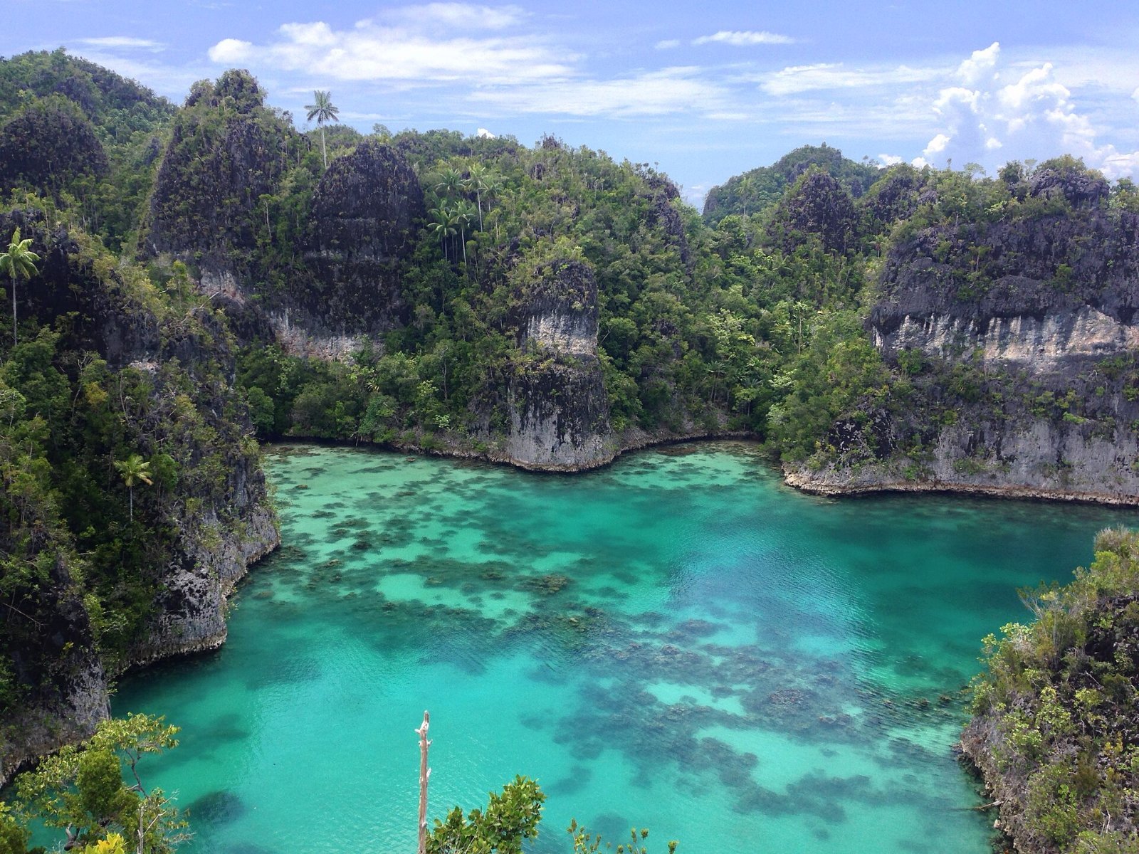 Forested karst islands rising from turquoise water in Raja Ampat, Indonesia