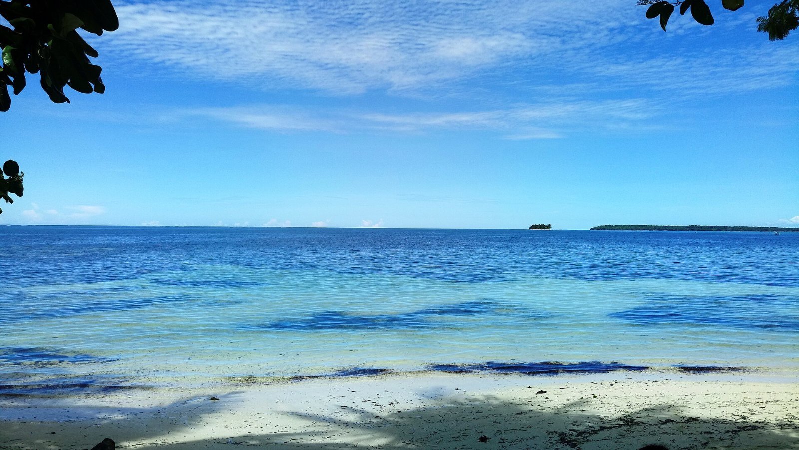 Coastline and palm trees on Siargao island, Philippines
