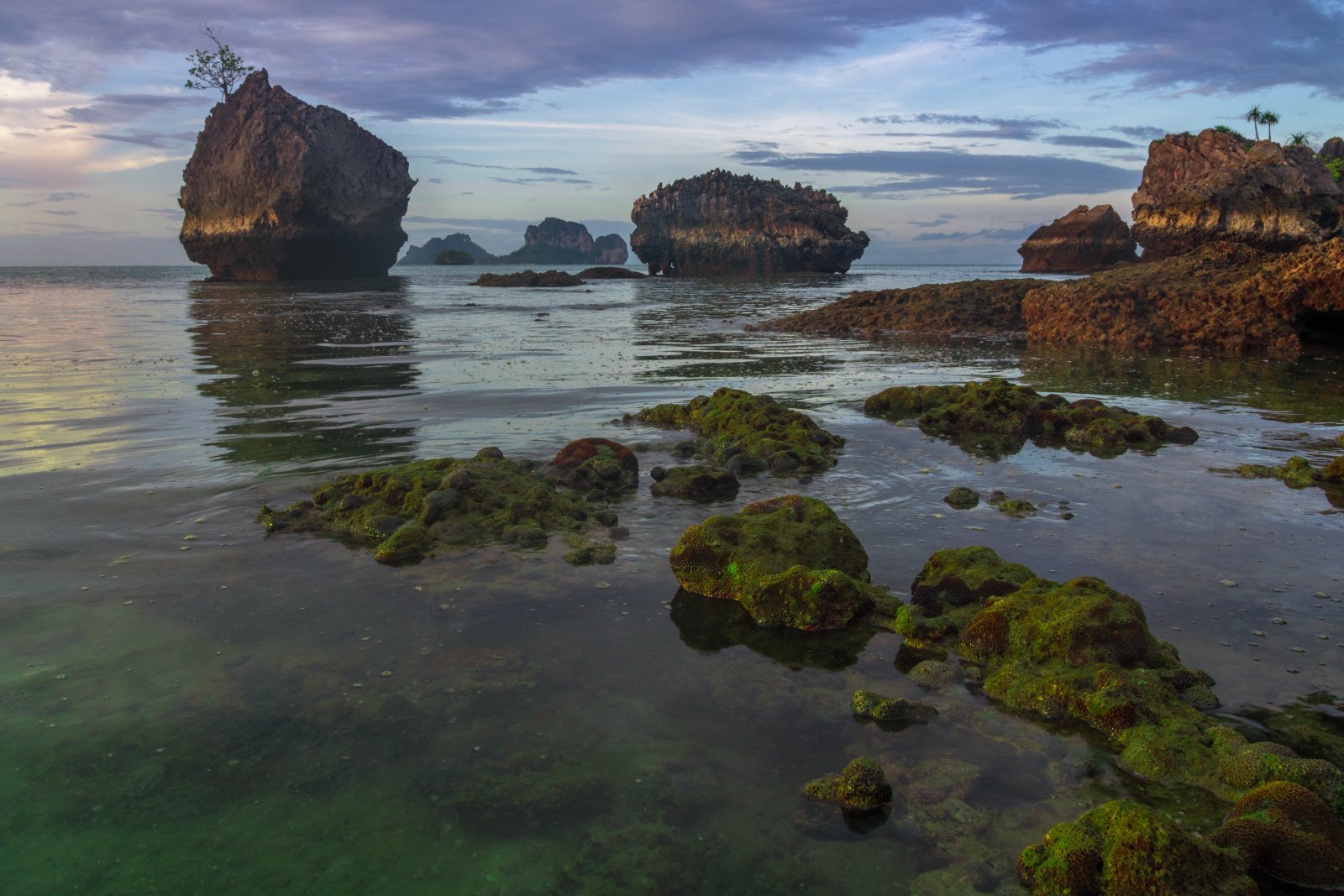 How to Plan a Koh Phi Phi Honeymoon (2026)