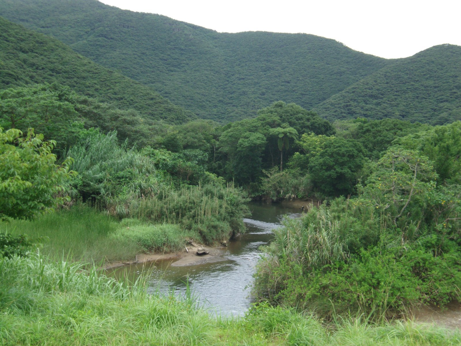 Best Beaches and Things to Do in Amami Oshima