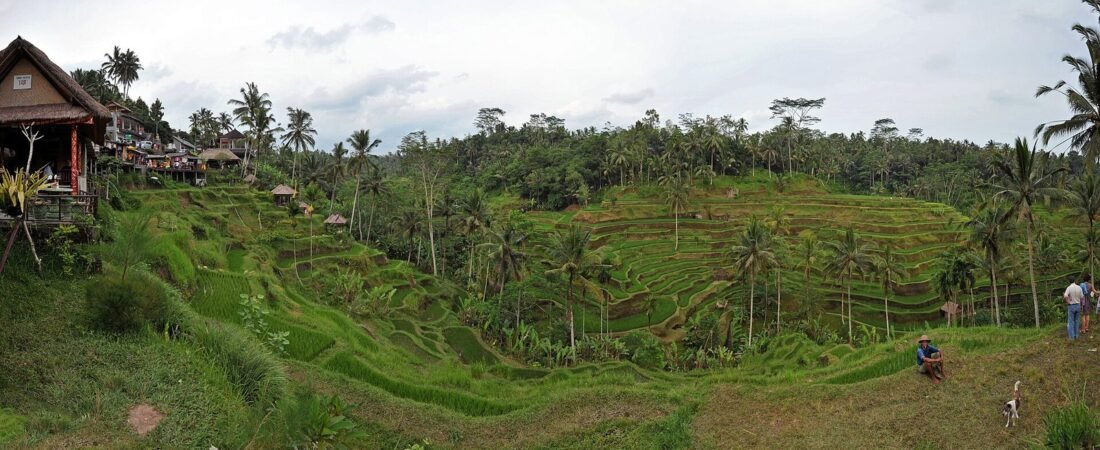 Babymoon in Bali: Best Areas and What to Pack
