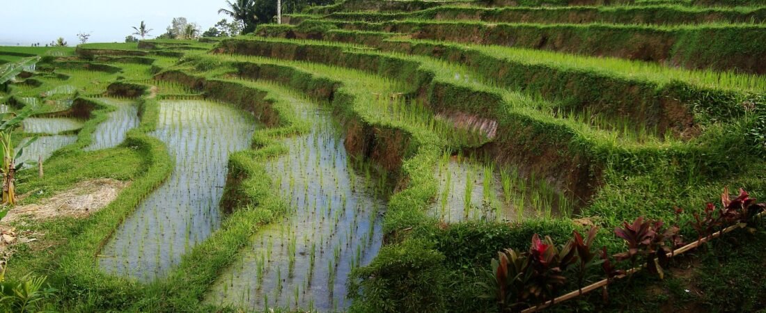 Bali Wet Season Luxury Travel Guide 2026