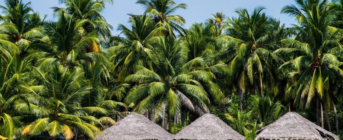 Lakshadweep Islands Travel Guide 2026
