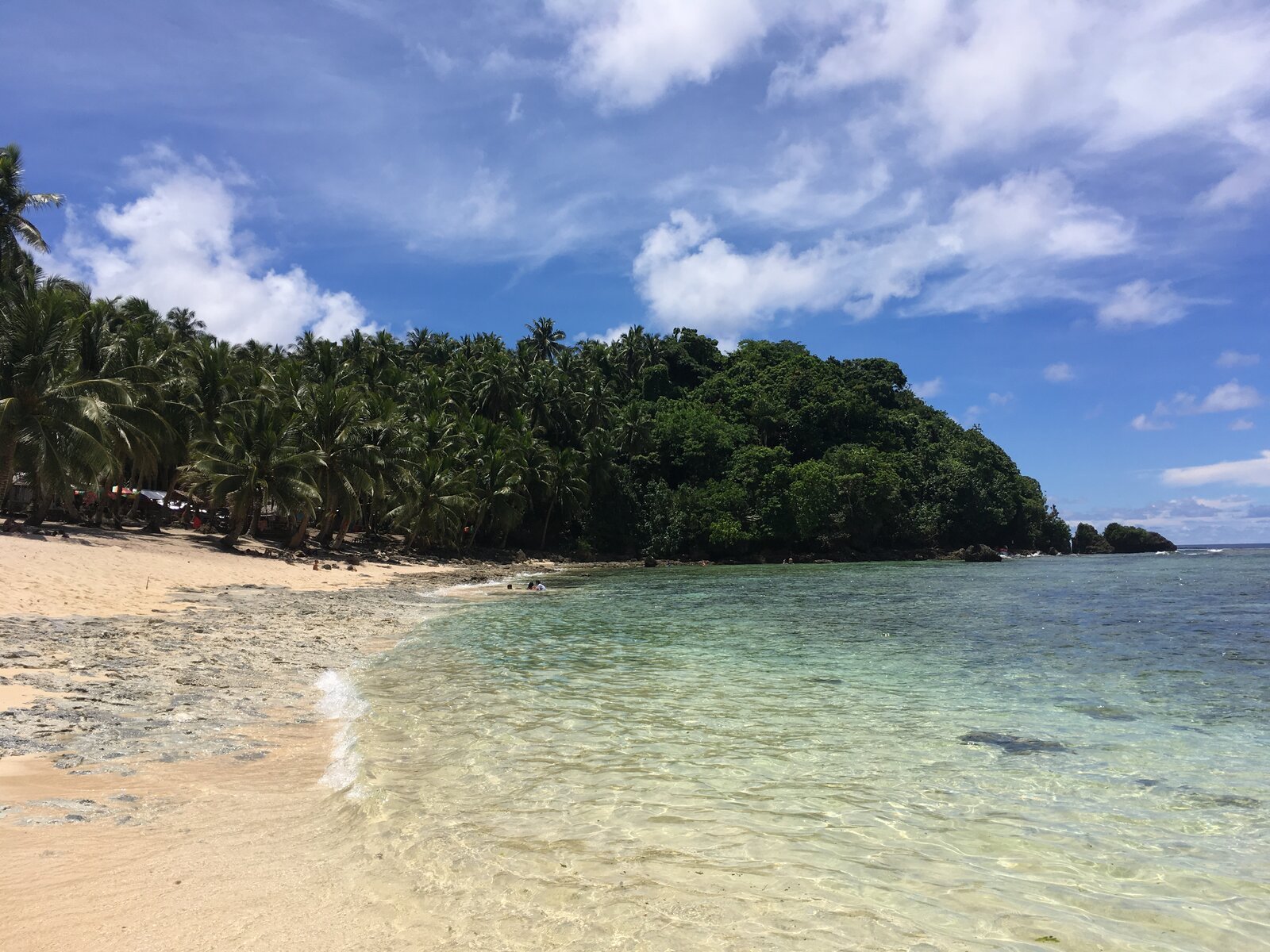 Palm trees and a quiet beach in Siargao, Philippines