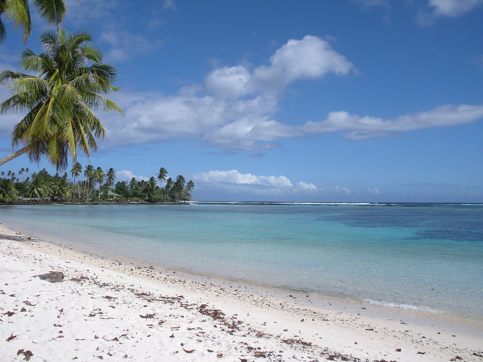 Best Luxury Resorts in Samoa 2026: Top 6 Picks