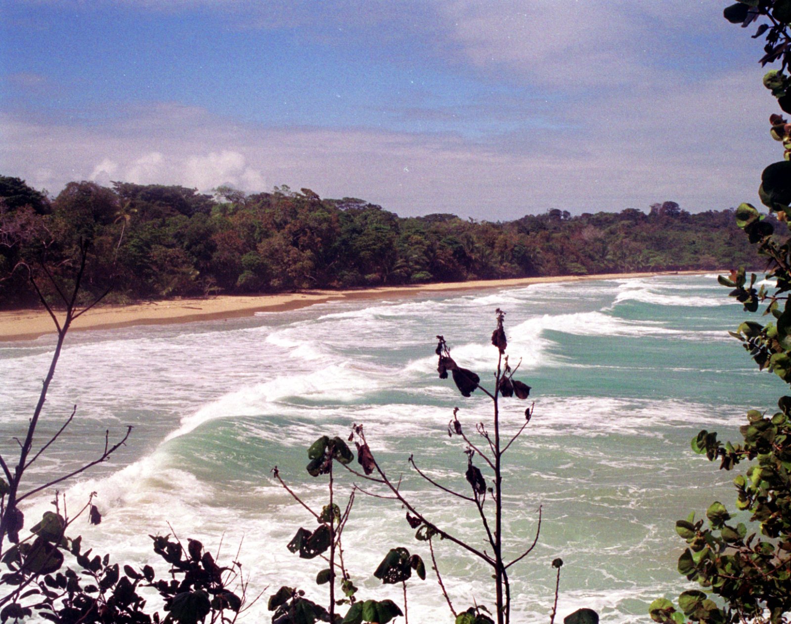Illustrative Red Frog Beach, Bastimentos Island scenery; seasonal conditions vary by month.