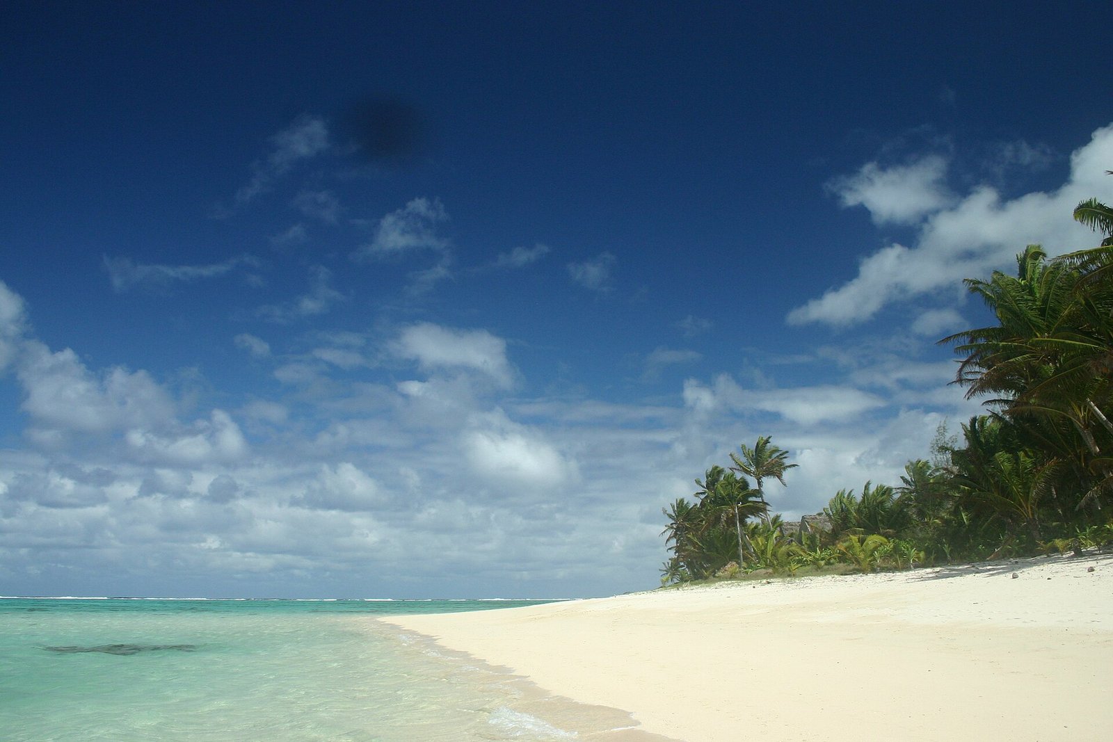 Palm-lined beach and lagoon at Titikaveka on Rarotonga, Cook Islands