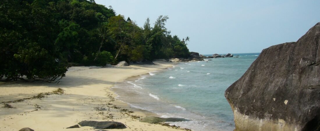 Best Time to Visit Tioman Island 2026