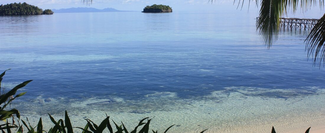 Best Time to Visit the Togean Islands 2026