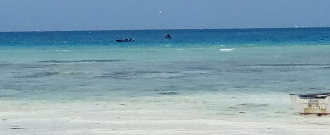 Best Time to Visit Zanzibar 2026: Month-by-Month