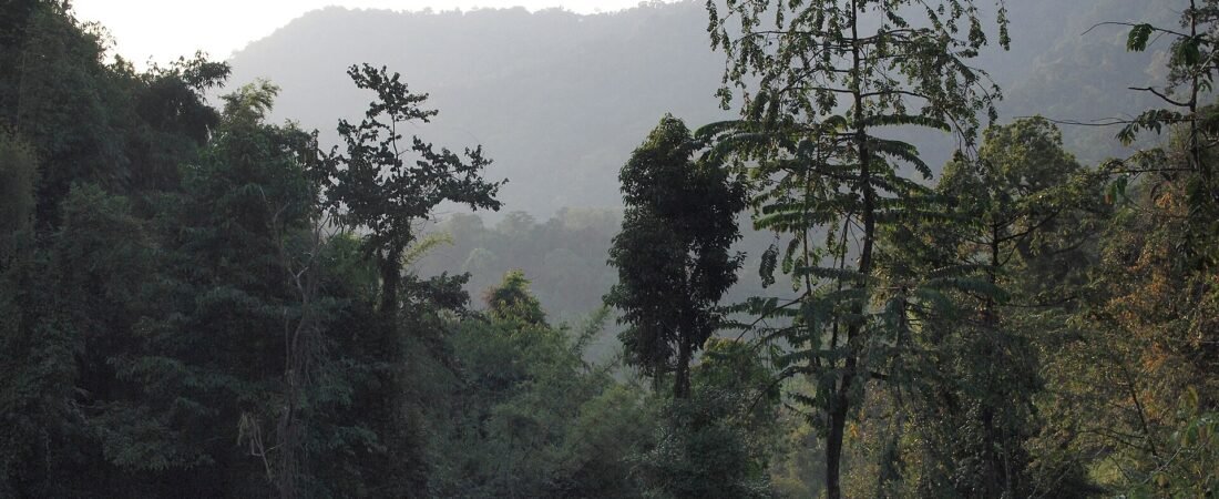 Best Treehouse Villas in Southeast Asia 2026