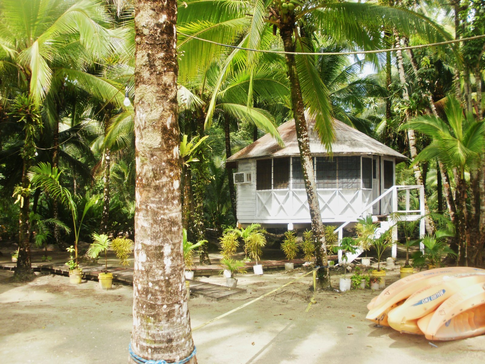 Bocas del Toro Honeymoon Guide 2026