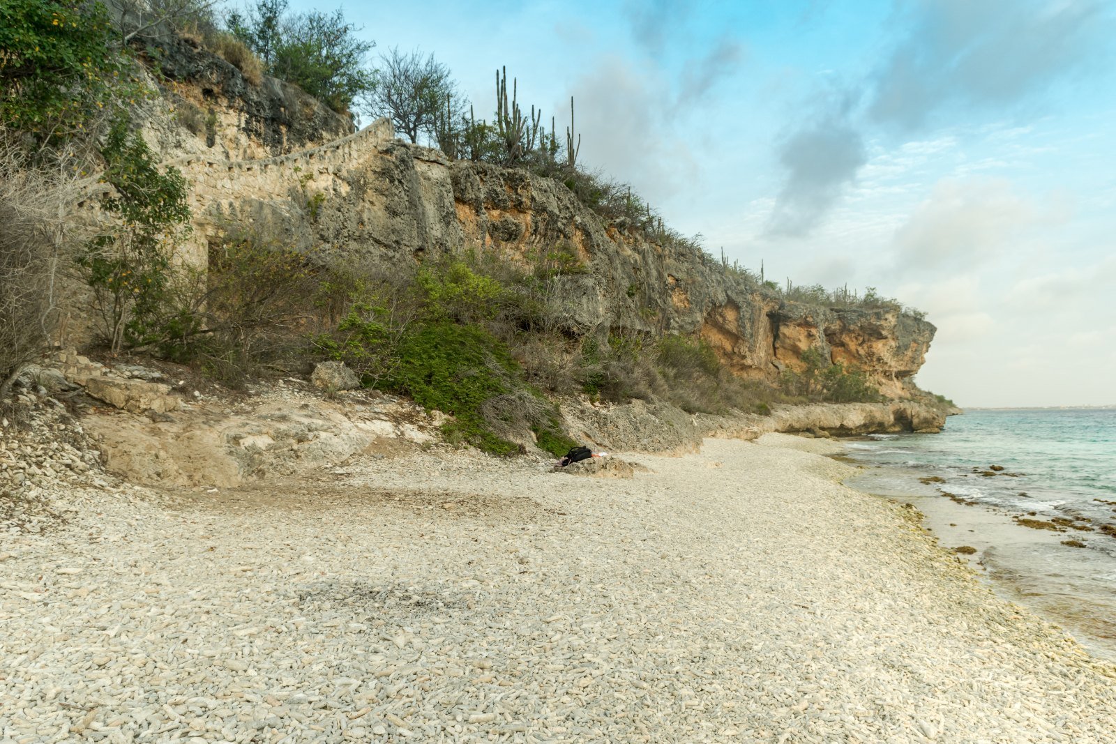 How to Plan a Diving Trip to Bonaire on a Budget (2026)