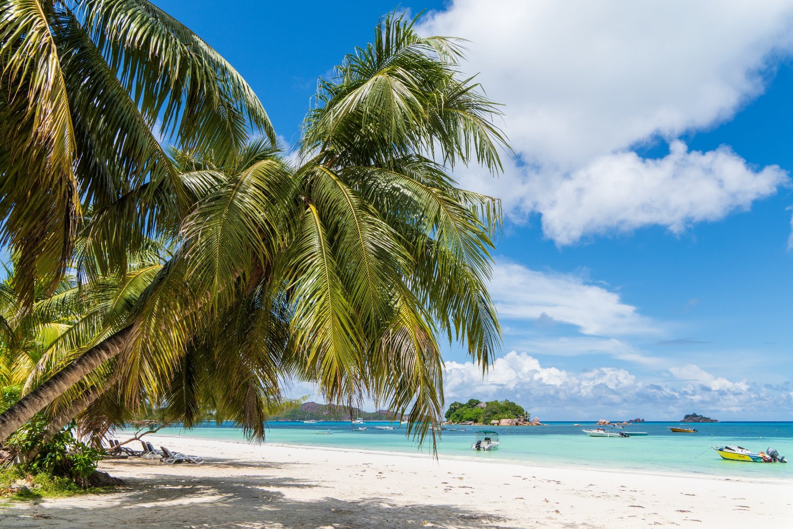 Palm-lined Cote d'Or Beach at Anse Volbert on Praslin, Seychelles