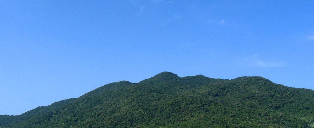 Cu Lao Cham Day Trip from Hoi An 2026