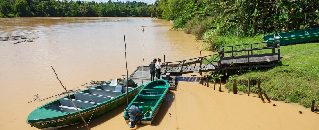 Sabah Wildlife Lodges 2026: Kinabatangan vs Danum