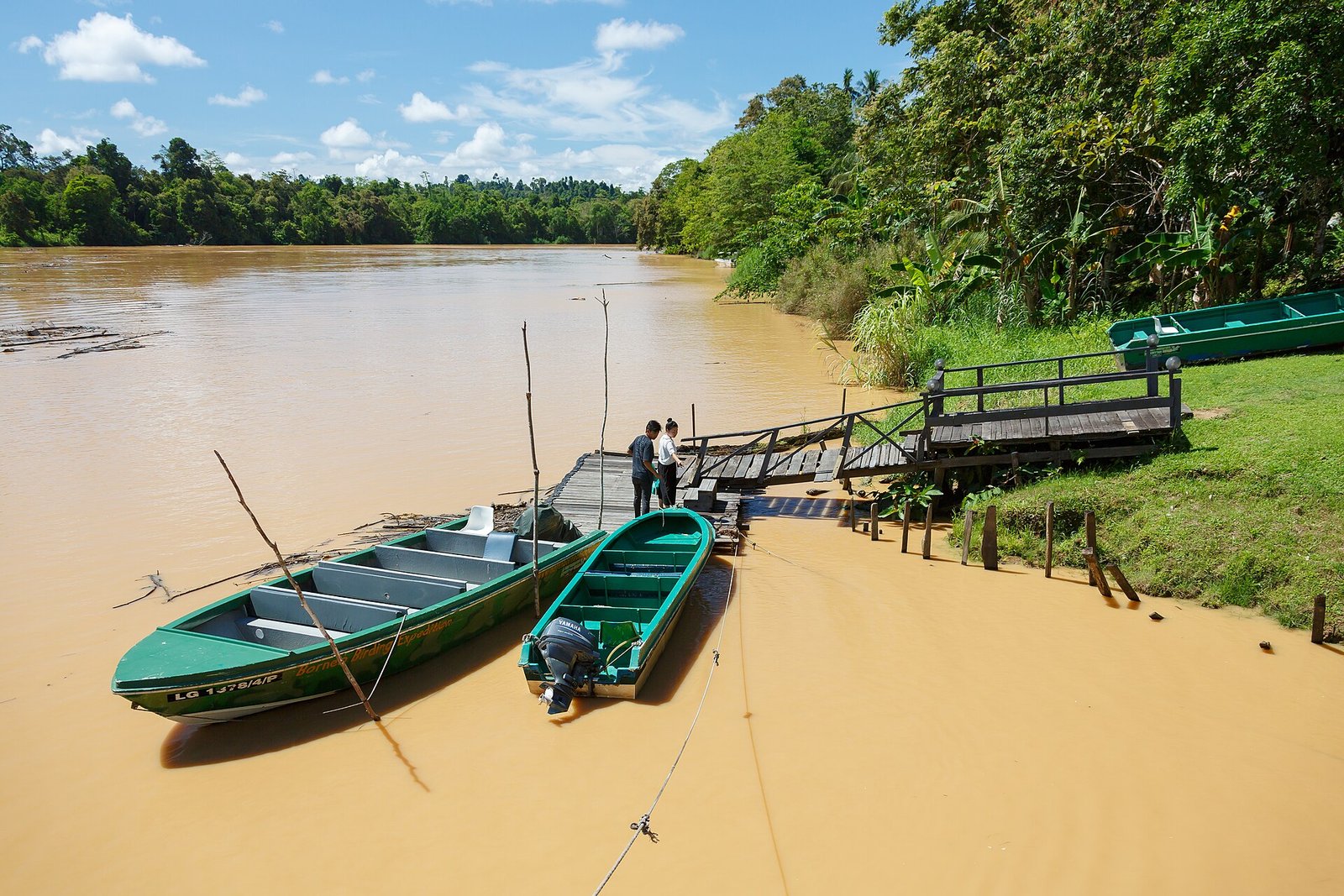 Sabah Wildlife Lodges 2026: Kinabatangan vs Danum