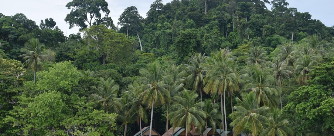 Koh Muk vs Koh Kradan 2026: Which Trang Island?