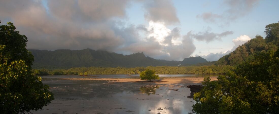Best Time to Visit Kosrae, Micronesia’s Dive Island