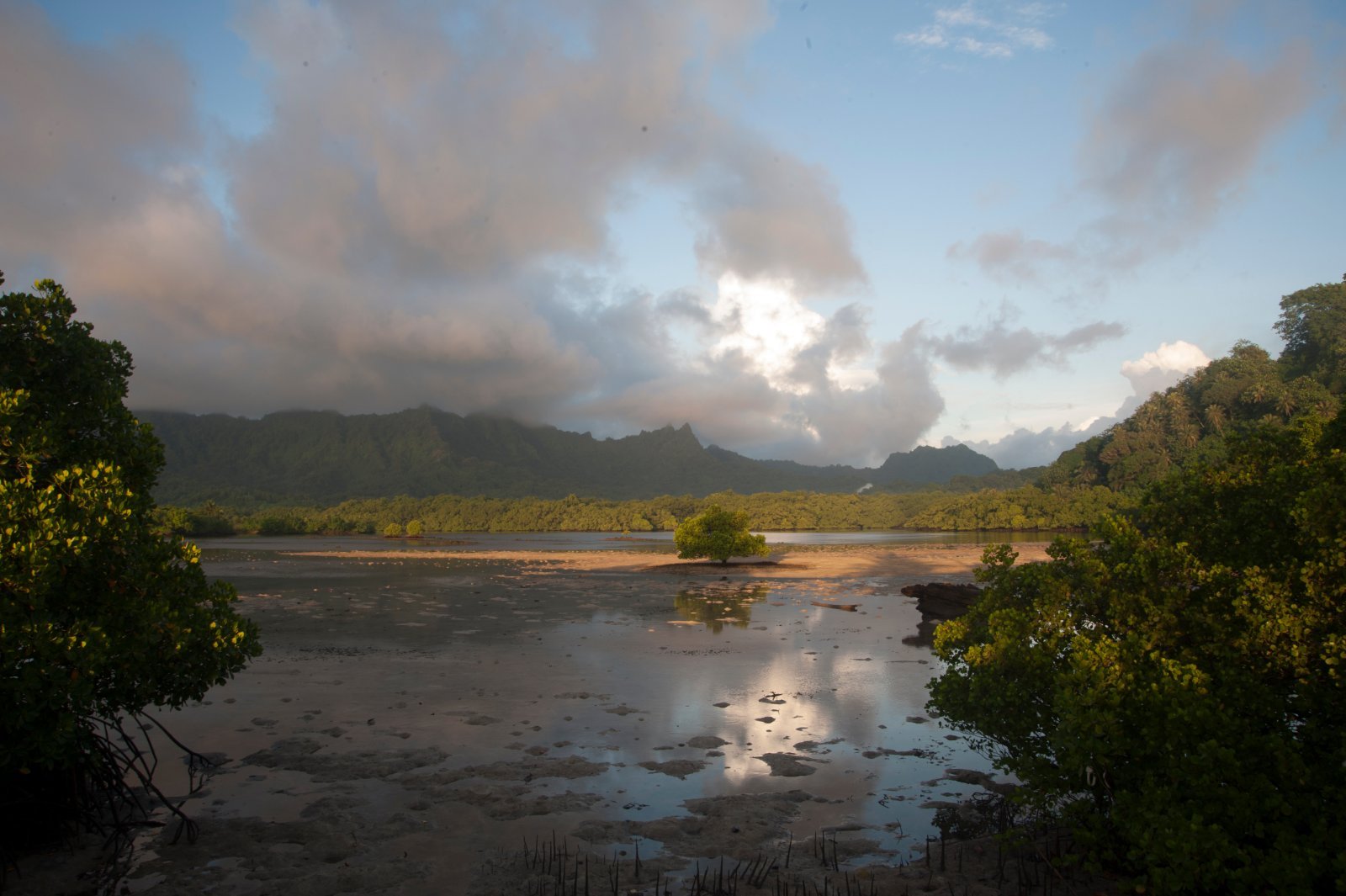 Best Time to Visit Kosrae, Micronesia’s Dive Island
