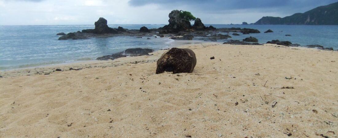 Selong Belanak vs Kuta Lombok 2026: Which South Lombok Beach Fits You