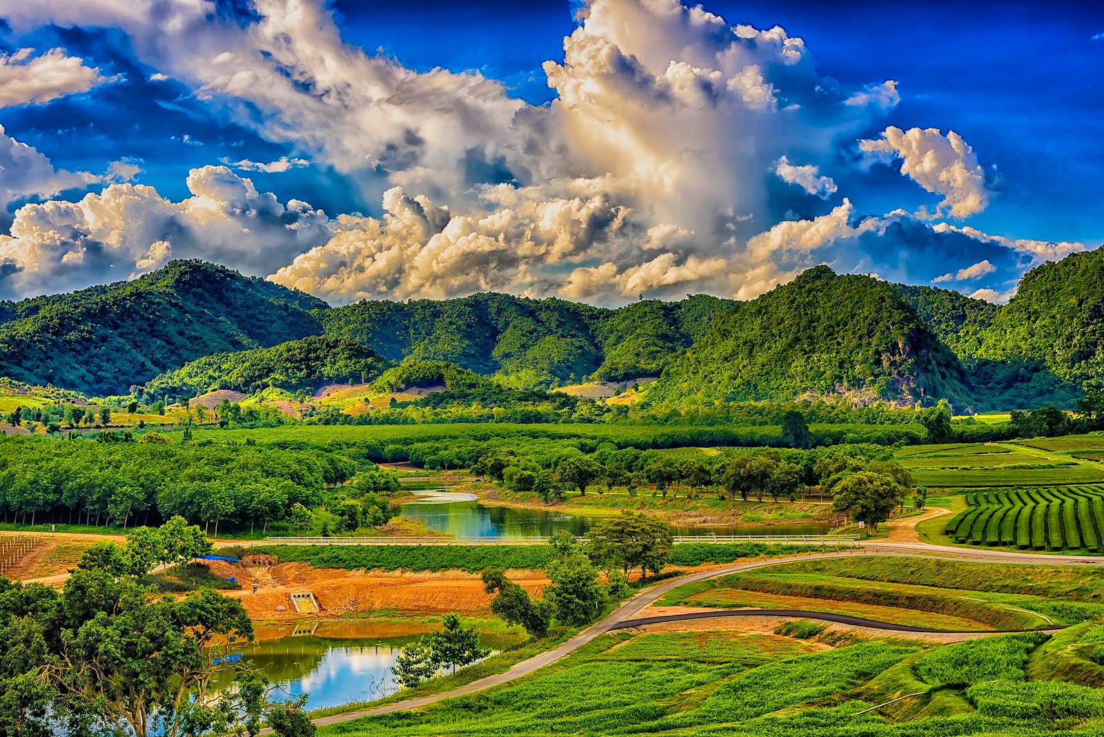 Chiang Rai Celebration Trips 2026: Planning Guide