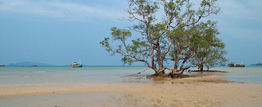 Koh Mak Honeymoon Guide 2026: Quiet Luxury Island