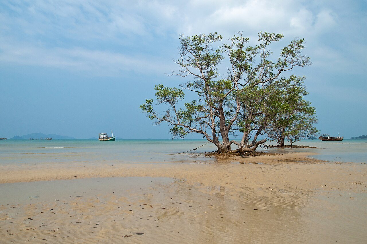 Koh Mak Honeymoon Guide 2026: Quiet Luxury Island