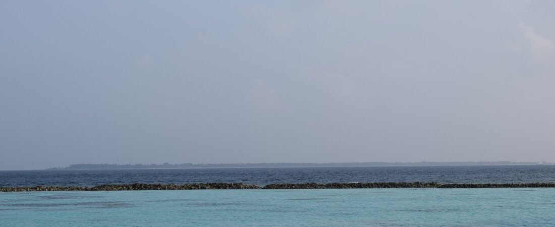 South Ari Atoll Maldives Guide 2026: Whale Sharks
