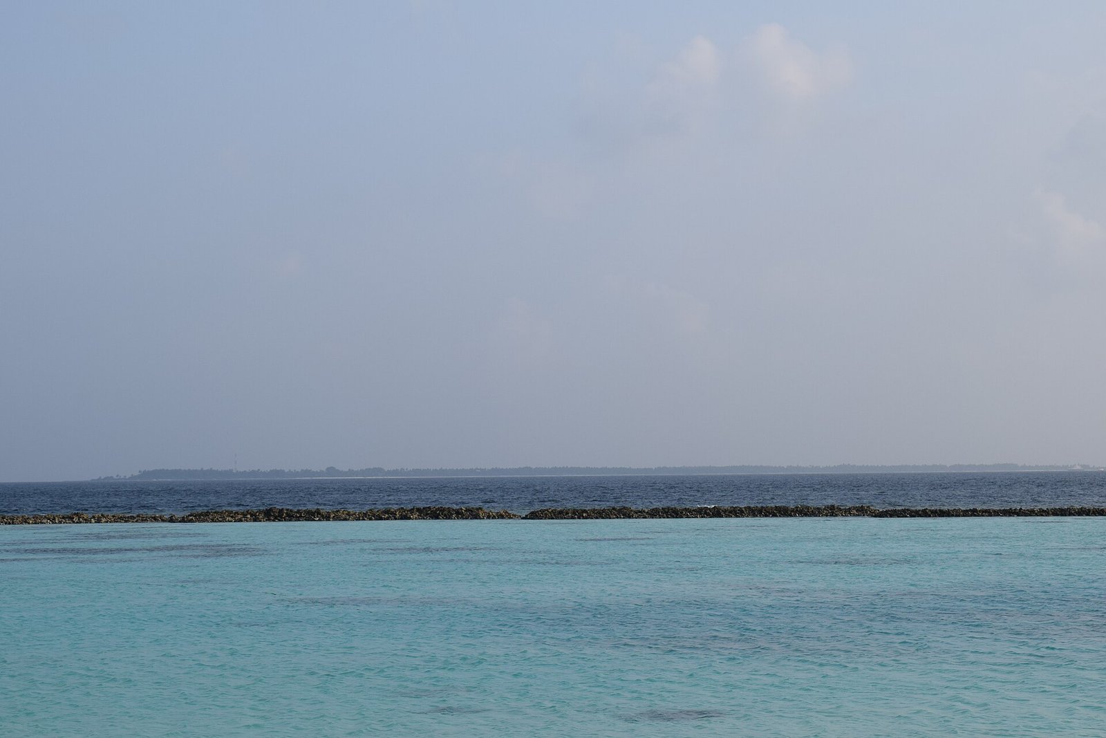 South Ari Atoll Maldives Guide 2026: Whale Sharks